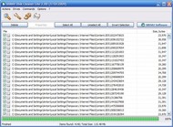 SBMAV Disk Cleaner Lite screenshot